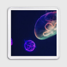 Магнит 55*55 с принтом Фантастическая медуза в Санкт-Петербурге, Пластик | Размер: 65*65 мм; Размер печати: 55*55 мм | медуза | медуза в море | морская медуза | плавающая медуза | светящаяся медуза
