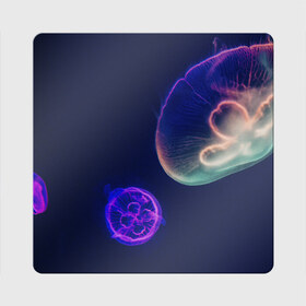 Магнит виниловый Квадрат с принтом Фантастическая медуза в Санкт-Петербурге, полимерный материал с магнитным слоем | размер 9*9 см, закругленные углы | медуза | медуза в море | морская медуза | плавающая медуза | светящаяся медуза