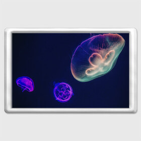Магнит 45*70 с принтом Фантастическая медуза в Санкт-Петербурге, Пластик | Размер: 78*52 мм; Размер печати: 70*45 | Тематика изображения на принте: медуза | медуза в море | морская медуза | плавающая медуза | светящаяся медуза