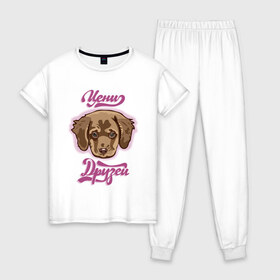 Женская пижама хлопок с принтом Цени друзей в Санкт-Петербурге, 100% хлопок | брюки и футболка прямого кроя, без карманов, на брюках мягкая резинка на поясе и по низу штанин | для девочек | дружба | надпись | собака | щенок