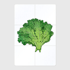 Магнитный плакат 2Х3 с принтом Кудрявая капуста в Санкт-Петербурге, Полимерный материал с магнитным слоем | 6 деталей размером 9*9 см | арт | капуста | кудри | кудрявая | кудрявая капуста | кудряшки | мило | милота | овощ | рисунок | свежий овощ | свежий продукт