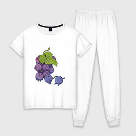 Женская пижама хлопок с принтом Виноградинки в Санкт-Петербурге, 100% хлопок | брюки и футболка прямого кроя, без карманов, на брюках мягкая резинка на поясе и по низу штанин | арт | веточка винограда | виноград | виноградинки | мило | милота | рисунок | свежая ягода | свежие ягоды | свежий продукт | синий виноград | ягода | ягоды
