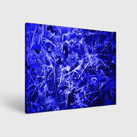 Холст прямоугольный с принтом Dark Blue Gan в Санкт-Петербурге, 100% ПВХ |  | abstraction | blue | frost | frozen | ice | shine | surface | texture | абстракция | блеск | замерзший | лед | мороз | поверхность | синий | текстура