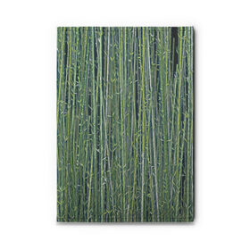 Обложка для автодокументов с принтом Зеленый бамбук в Санкт-Петербурге, натуральная кожа |  размер 19,9*13 см; внутри 4 больших “конверта” для документов и один маленький отдел — туда идеально встанут права | Тематика изображения на принте: bamboo | forest | stripes | бамбук | заросли | лес | листья | полосы | растения