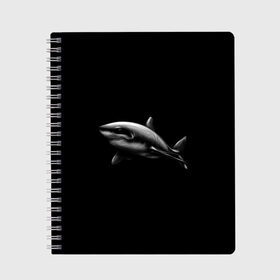 Тетрадь с принтом Акула в Санкт-Петербурге, 100% бумага | 48 листов, плотность листов — 60 г/м2, плотность картонной обложки — 250 г/м2. Листы скреплены сбоку удобной пружинной спиралью. Уголки страниц и обложки скругленные. Цвет линий — светло-серый
 | Тематика изображения на принте: акула | акулы | морские животные | рыбы | хищники