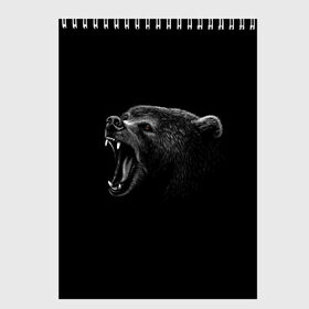 Скетчбук с принтом Медведь в Санкт-Петербурге, 100% бумага
 | 48 листов, плотность листов — 100 г/м2, плотность картонной обложки — 250 г/м2. Листы скреплены сверху удобной пружинной спиралью | голова медведя | животные | звери | медведи | медведь | хищники