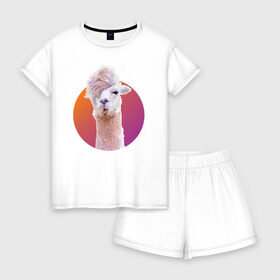 Женская пижама с шортиками хлопок с принтом Лама_2 в Санкт-Петербурге, 100% хлопок | футболка прямого кроя, шорты свободные с широкой мягкой резинкой | alpaca | lama | альпака | арт | животные | картинка | лама | милое животное | рисунок