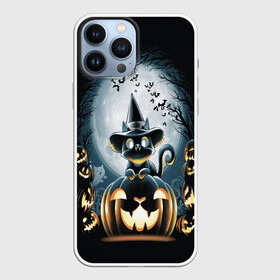 Чехол для iPhone 13 Pro Max с принтом Хэллоуин Кот в Санкт-Петербурге,  |  | 2020 | cat | cats | halloween | джек | киса | кисуля | кот | котик | коты | кошечка | ленивец | мяу | октябрь | панда | призрак | призраки | собака | тыква | хеллоуин | хелоуин | хэллоуин | хэлоуин | черный кот | щеночек