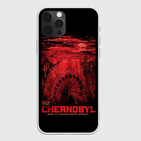 Чехол для iPhone 12 Pro Max с принтом Чернобыль в Санкт-Петербурге, Силикон |  | chernobyl | chernobyl nuclear power plant | exclusion zone | pripyat | radiation | stalker | зона отчуждения | припять | радиация | сталкер | чаэс | чернобыль