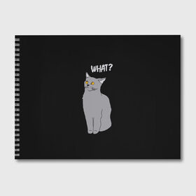 Альбом для рисования с принтом What cat в Санкт-Петербурге, 100% бумага
 | матовая бумага, плотность 200 мг. | cat | kitten | kitty | what кот | британская кошка | британский кот | в смысле | взгляд | вопрос | вопросительный знак | глаза кота | животные | кот мем | котенок | котик | котята | кошак | кошка | мемы