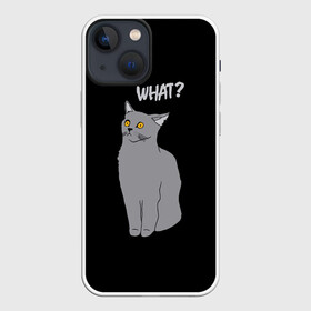 Чехол для iPhone 13 mini с принтом What cat в Санкт-Петербурге,  |  | cat | kitten | kitty | what кот | британская кошка | британский кот | в смысле | взгляд | вопрос | вопросительный знак | глаза кота | животные | кот мем | котенок | котик | котята | кошак | кошка | мемы