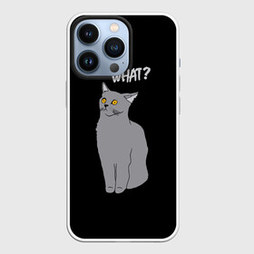 Чехол для iPhone 13 Pro с принтом What cat в Санкт-Петербурге,  |  | cat | kitten | kitty | what кот | британская кошка | британский кот | в смысле | взгляд | вопрос | вопросительный знак | глаза кота | животные | кот мем | котенок | котик | котята | кошак | кошка | мемы