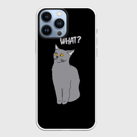 Чехол для iPhone 13 Pro Max с принтом What cat в Санкт-Петербурге,  |  | cat | kitten | kitty | what кот | британская кошка | британский кот | в смысле | взгляд | вопрос | вопросительный знак | глаза кота | животные | кот мем | котенок | котик | котята | кошак | кошка | мемы