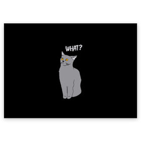 Поздравительная открытка с принтом What cat в Санкт-Петербурге, 100% бумага | плотность бумаги 280 г/м2, матовая, на обратной стороне линовка и место для марки
 | Тематика изображения на принте: cat | kitten | kitty | what кот | британская кошка | британский кот | в смысле | взгляд | вопрос | вопросительный знак | глаза кота | животные | кот мем | котенок | котик | котята | кошак | кошка | мемы