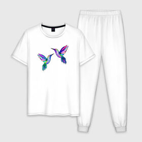 Мужская пижама хлопок с принтом Колибри в Санкт-Петербурге, 100% хлопок | брюки и футболка прямого кроя, без карманов, на брюках мягкая резинка на поясе и по низу штанин
 | Тематика изображения на принте: angel | bird | butterfly | parrot | summer | tropical | wings | ангел | бабочки | джунгли | животные | красочные | крылья | летний | лето | перья | попугай | природа | птица | птичка | радужные | райский | стриж | тропики