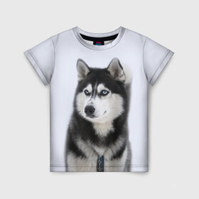 Детская футболка 3D с принтом ХАСКИ в Санкт-Петербурге, 100% гипоаллергенный полиэфир | прямой крой, круглый вырез горловины, длина до линии бедер, чуть спущенное плечо, ткань немного тянется | dog | husky | милый | пес | песик | собака | собачка | хаски | щенок