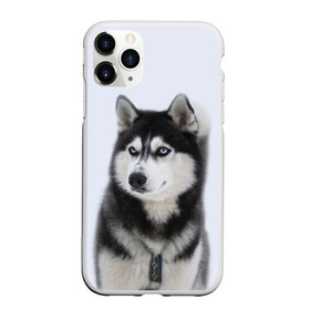 Чехол для iPhone 11 Pro матовый с принтом ХАСКИ в Санкт-Петербурге, Силикон |  | Тематика изображения на принте: dog | husky | милый | пес | песик | собака | собачка | хаски | щенок