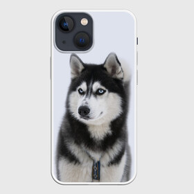 Чехол для iPhone 13 mini с принтом ХАСКИ в Санкт-Петербурге,  |  | dog | husky | милый | пес | песик | собака | собачка | хаски | щенок
