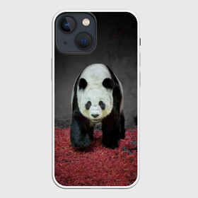 Чехол для iPhone 13 mini с принтом ПАНДА в Санкт-Петербурге,  |  | panda | большая | в зоопарке | забавная | медведь | милая | панда | пандочка