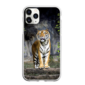 Чехол для iPhone 11 Pro матовый с принтом ТИГР В ЛЕСУ в Санкт-Петербурге, Силикон |  | Тематика изображения на принте: tiger | амурский | бенгальский | в зоопарке | в лесу | дикий | кошка | крупная | полосатый | тигр | тигренок | тигрица