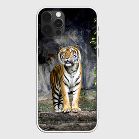 Чехол для iPhone 12 Pro Max с принтом ТИГР В ЛЕСУ в Санкт-Петербурге, Силикон |  | Тематика изображения на принте: tiger | амурский | бенгальский | в зоопарке | в лесу | дикий | кошка | крупная | полосатый | тигр | тигренок | тигрица