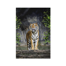 Обложка для паспорта матовая кожа с принтом ТИГР В ЛЕСУ в Санкт-Петербурге, натуральная матовая кожа | размер 19,3 х 13,7 см; прозрачные пластиковые крепления | tiger | амурский | бенгальский | в зоопарке | в лесу | дикий | кошка | крупная | полосатый | тигр | тигренок | тигрица