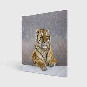 Холст квадратный с принтом ТИГР ЗИМОЙ в Санкт-Петербурге, 100% ПВХ |  | tiger | амурский | бенгальский | дикий | зима | зимой | кошка | крупная | полосатый | тигр | тигренок | тигрица