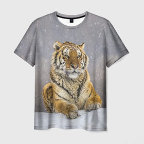 Мужская футболка 3D с принтом ТИГР ЗИМОЙ в Санкт-Петербурге, 100% полиэфир | прямой крой, круглый вырез горловины, длина до линии бедер | tiger | амурский | бенгальский | дикий | зима | зимой | кошка | крупная | полосатый | тигр | тигренок | тигрица