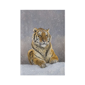 Обложка для паспорта матовая кожа с принтом ТИГР ЗИМОЙ в Санкт-Петербурге, натуральная матовая кожа | размер 19,3 х 13,7 см; прозрачные пластиковые крепления | tiger | амурский | бенгальский | дикий | зима | зимой | кошка | крупная | полосатый | тигр | тигренок | тигрица