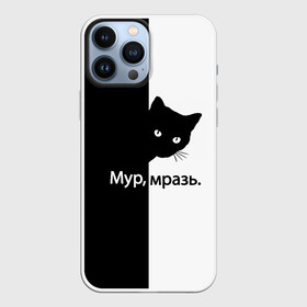 Чехол для iPhone 13 Pro Max с принтом Черный кот в Санкт-Петербурге,  |  | Тематика изображения на принте: буквы | глаза | кот | котик | кошка | минимал | надпись | настроение | простая надпись | текст | черно белое | черный кот | черный фон