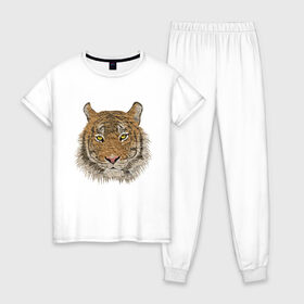 Женская пижама хлопок с принтом тигр в Санкт-Петербурге, 100% хлопок | брюки и футболка прямого кроя, без карманов, на брюках мягкая резинка на поясе и по низу штанин | животные | кошка | леопард | тигр | тигрица