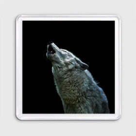 Магнит 55*55 с принтом Воющий волк в Санкт-Петербурге, Пластик | Размер: 65*65 мм; Размер печати: 55*55 мм | ауф | волк | воющий волк | животное | зверь