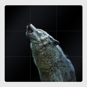 Магнитный плакат 3Х3 с принтом Воющий волк в Санкт-Петербурге, Полимерный материал с магнитным слоем | 9 деталей размером 9*9 см | ауф | волк | воющий волк | животное | зверь