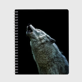 Тетрадь с принтом Воющий волк в Санкт-Петербурге, 100% бумага | 48 листов, плотность листов — 60 г/м2, плотность картонной обложки — 250 г/м2. Листы скреплены сбоку удобной пружинной спиралью. Уголки страниц и обложки скругленные. Цвет линий — светло-серый
 | Тематика изображения на принте: ауф | волк | воющий волк | животное | зверь