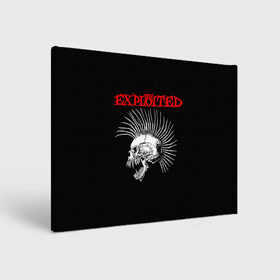 Холст прямоугольный с принтом The Exploited в Санкт-Петербурге, 100% ПВХ |  | exploited | punks | punks not dead | the exploited | панк не сдох | панки | уоти | череп | эксплоитед