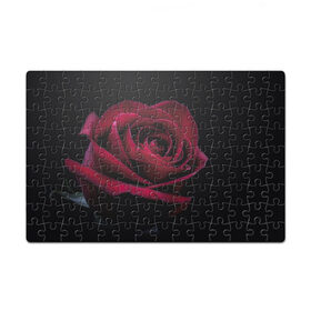 Пазл магнитный 126 элементов с принтом роза в Санкт-Петербурге, полимерный материал с магнитным слоем | 126 деталей, размер изделия —  180*270 мм | гибридная роза | красная роза | роза | чайная роза | черная роза