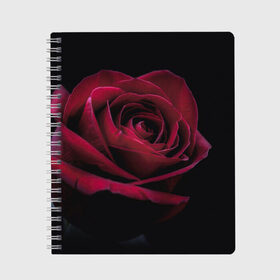 Тетрадь с принтом роза в Санкт-Петербурге, 100% бумага | 48 листов, плотность листов — 60 г/м2, плотность картонной обложки — 250 г/м2. Листы скреплены сбоку удобной пружинной спиралью. Уголки страниц и обложки скругленные. Цвет линий — светло-серый
 | гибридная роза | красная роза | роза | чайная роза | черная роза
