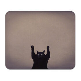 Коврик для мышки прямоугольный с принтом Кот сдается в Санкт-Петербурге, натуральный каучук | размер 230 х 185 мм; запечатка лицевой стороны | cat | арест | испуг | кот | руки вверх | черный кот