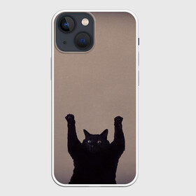 Чехол для iPhone 13 mini с принтом Кот сдается в Санкт-Петербурге,  |  | Тематика изображения на принте: cat | арест | испуг | кот | руки вверх | черный кот