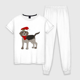 Женская пижама хлопок с принтом Новогодний Бигль в Санкт-Петербурге, 100% хлопок | брюки и футболка прямого кроя, без карманов, на брюках мягкая резинка на поясе и по низу штанин | 2021 | бигль | зима | зимняя собака | милый | нарядная собака | новогодний щенок | новый год | подарок | собака | собака в шапке | шарф | щенок | щенок с шарфом
