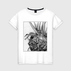 Женская футболка хлопок с принтом Цокотуха в Санкт-Петербурге, 100% хлопок | прямой крой, круглый вырез горловины, длина до линии бедер, слегка спущенное плечо | глаза | крылья | муха | насекомое | цокотуха