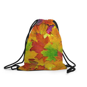 Рюкзак-мешок 3D с принтом Осенние листья в Санкт-Петербурге, 100% полиэстер | плотность ткани — 200 г/м2, размер — 35 х 45 см; лямки — толстые шнурки, застежка на шнуровке, без карманов и подкладки | Тематика изображения на принте: клён | краски | листья | осень | радуга | разноцветный | яркая