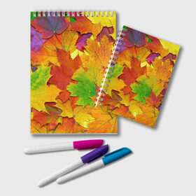 Блокнот с принтом Осенние листья в Санкт-Петербурге, 100% бумага | 48 листов, плотность листов — 60 г/м2, плотность картонной обложки — 250 г/м2. Листы скреплены удобной пружинной спиралью. Цвет линий — светло-серый
 | Тематика изображения на принте: клён | краски | листья | осень | радуга | разноцветный | яркая