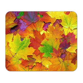 Коврик для мышки прямоугольный с принтом Осенние листья в Санкт-Петербурге, натуральный каучук | размер 230 х 185 мм; запечатка лицевой стороны | клён | краски | листья | осень | радуга | разноцветный | яркая