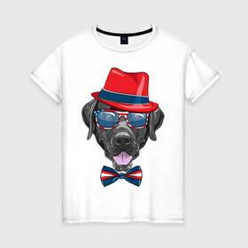 Женская футболка хлопок с принтом Мажор  в Санкт-Петербурге, 100% хлопок | прямой крой, круглый вырез горловины, длина до линии бедер, слегка спущенное плечо | арт | графика | животные | лабрадор | собаки