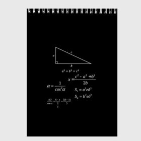 Скетчбук с принтом Теорема Пифагора в Санкт-Петербурге, 100% бумага
 | 48 листов, плотность листов — 100 г/м2, плотность картонной обложки — 250 г/м2. Листы скреплены сверху удобной пружинной спиралью | алгебра | геометрия | гипотенуза | катет | математик | пифагор | теорема пифагора | треугольник | философ | формулы | школа | шпаргалка