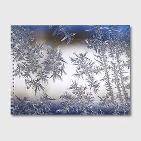 Альбом для рисования с принтом Морозная свежесть в Санкт-Петербурге, 100% бумага
 | матовая бумага, плотность 200 мг. | зима | зимний узор | мороз | морозный узор | узор