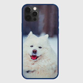 Чехол для iPhone 12 Pro Max с принтом САМОЕД в Санкт-Петербурге, Силикон |  | animals | dog | winter | домашние | друг | животные | звери | зима | лайка | пес | песель | природа | пушистый | самоед | собаки | собачка | хаски