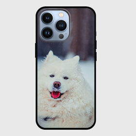 Чехол для iPhone 13 Pro с принтом САМОЕД в Санкт-Петербурге,  |  | Тематика изображения на принте: animals | dog | winter | домашние | друг | животные | звери | зима | лайка | пес | песель | природа | пушистый | самоед | собаки | собачка | хаски