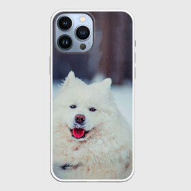 Чехол для iPhone 13 Pro Max с принтом САМОЕД в Санкт-Петербурге,  |  | animals | dog | winter | домашние | друг | животные | звери | зима | лайка | пес | песель | природа | пушистый | самоед | собаки | собачка | хаски